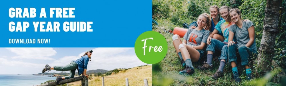 Get a Free Gap Year Guide