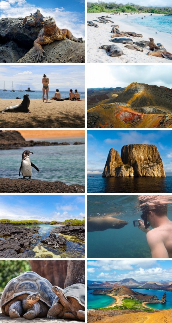 Galapagos Islands Summer Program
