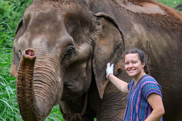 Elephant Conservation on the Thailand Mini Semester