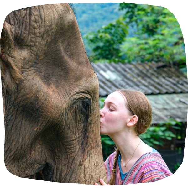 Elephant Connection on Pacific Discovery's Thailand Mid Teen Summer Program