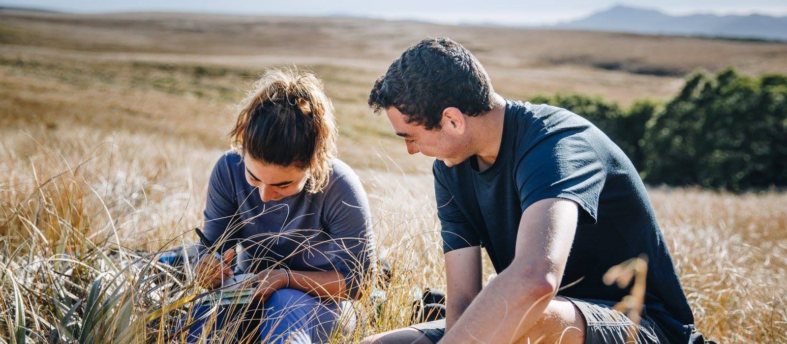 New Zealand Accomodation | Pacific Discovery