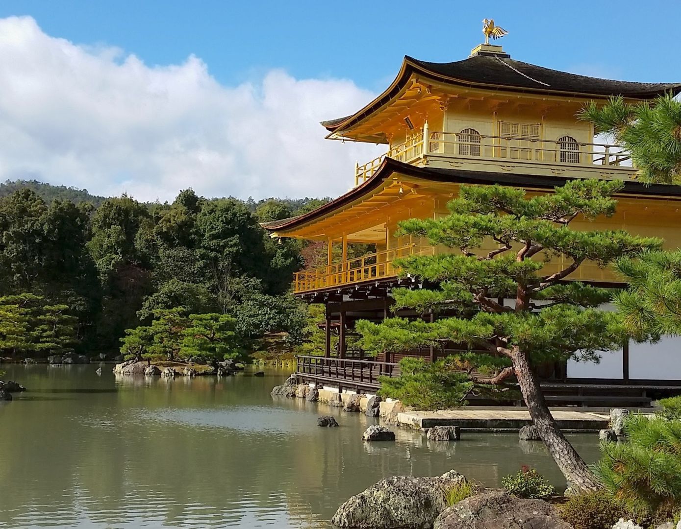 Golden Pavilion in Kyoto | Pacific Discovery