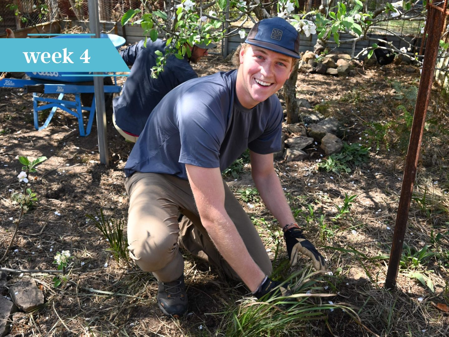 Smiling student in gloves kneeling to plant in a garden bed