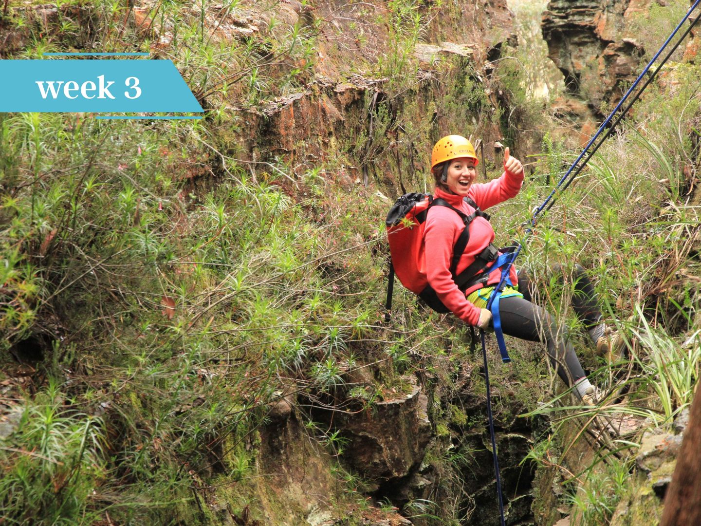 Student in a helmet abseiling down a rock face covered in ferns