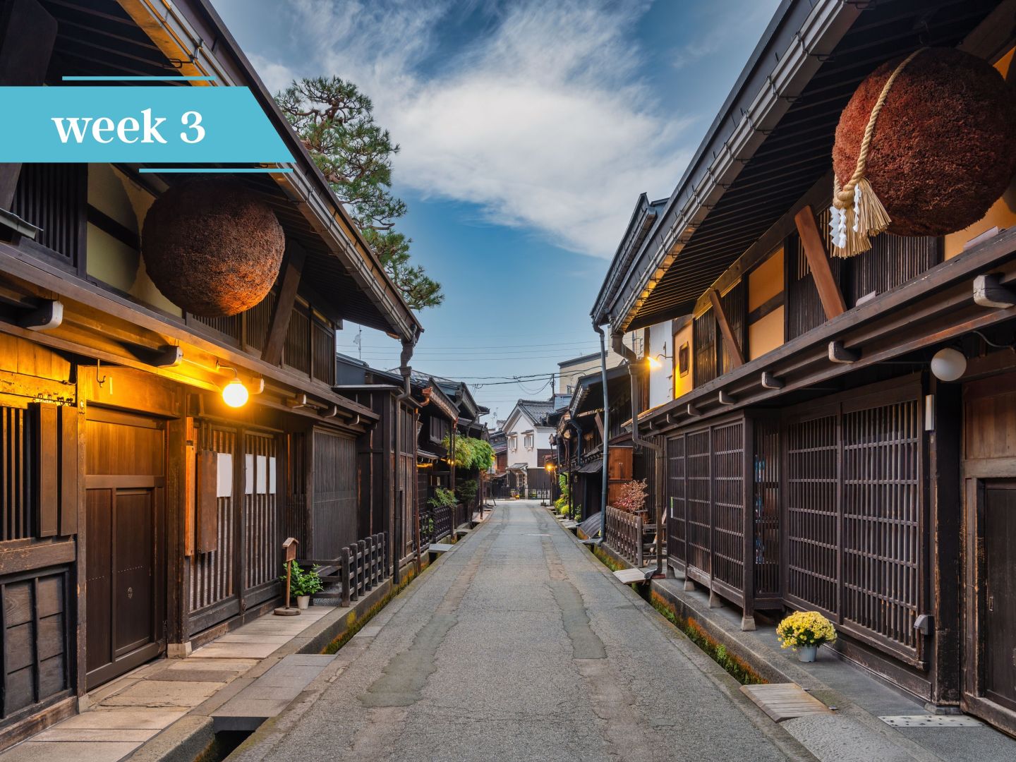 Quiet street of traditional dark wooden houses