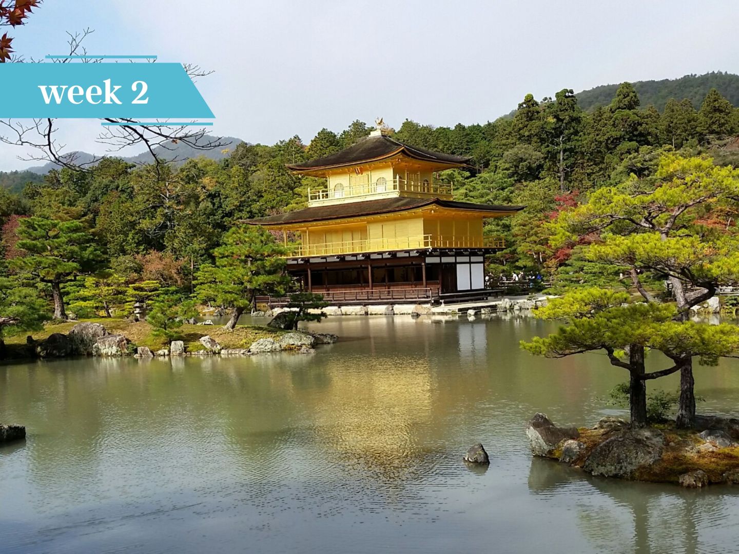 Golden pavilion reflected in a pond surrounded by pine trees
